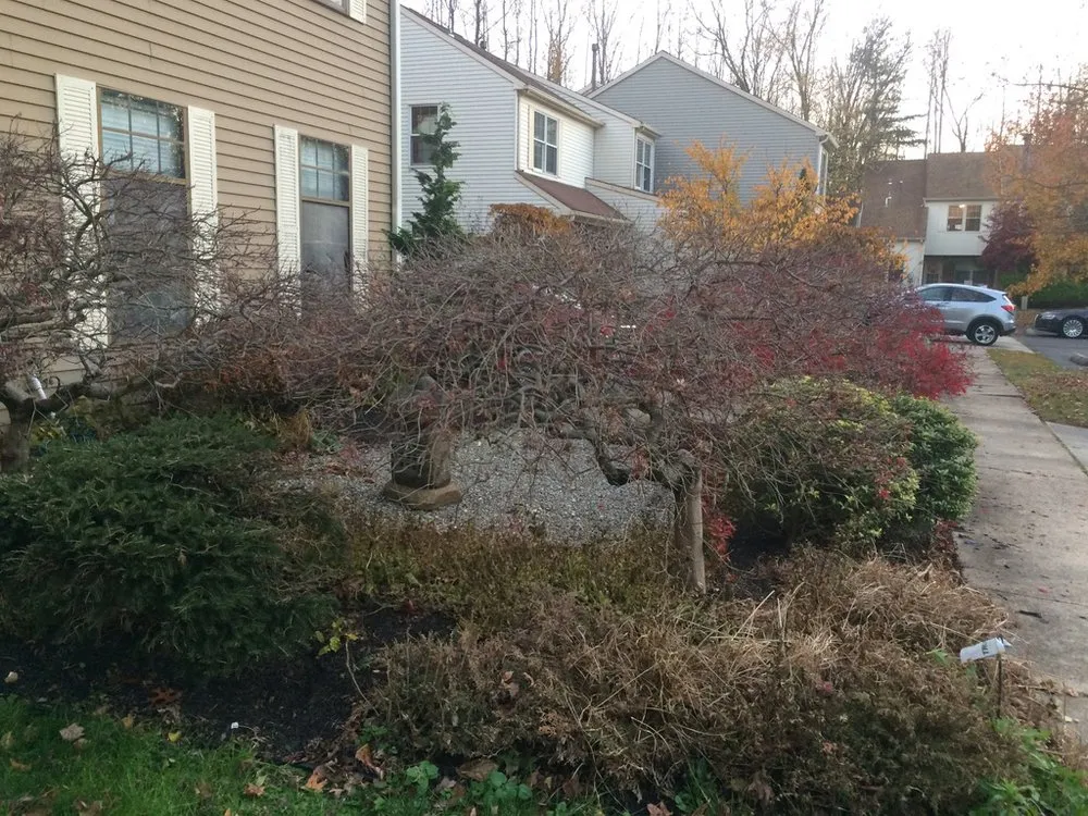 Trusted yard cleanup service in Pine Hill, NJ - Highland Landscaping & Lawn Service
