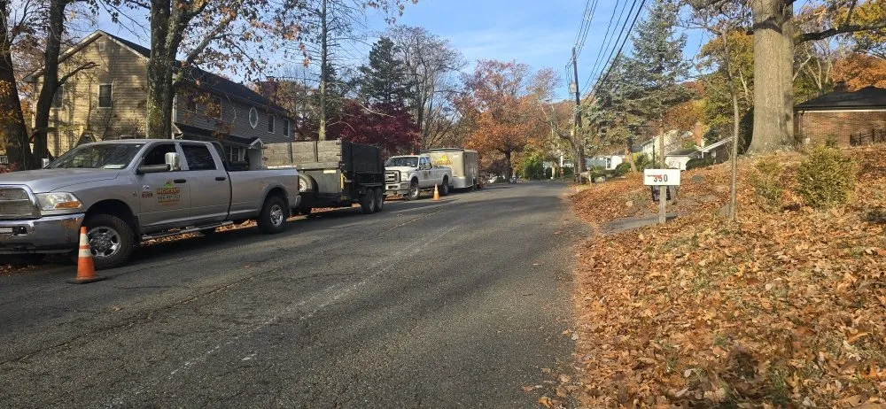 Top-rated garden landscaping in Plainfield, NJ by Highland landscaping