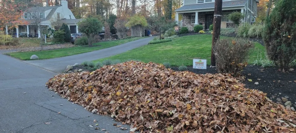 Custom landscaping services with custom design in Plainfield, NJ by Highland landscaping