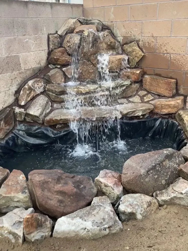 Affordable yard cleanup service in Rio Rancho, NM by Highland Landscaping