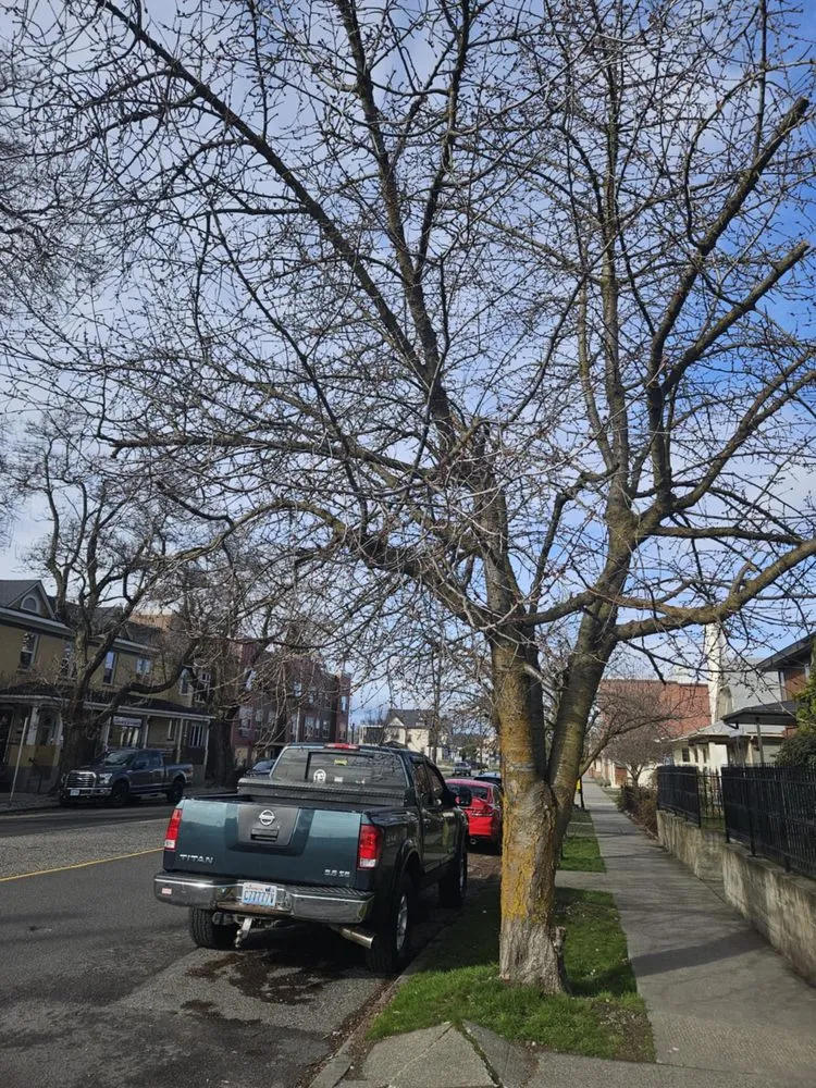 Local yard cleanup service with custom design in Spokane Valley, WA by Highland Landscaping