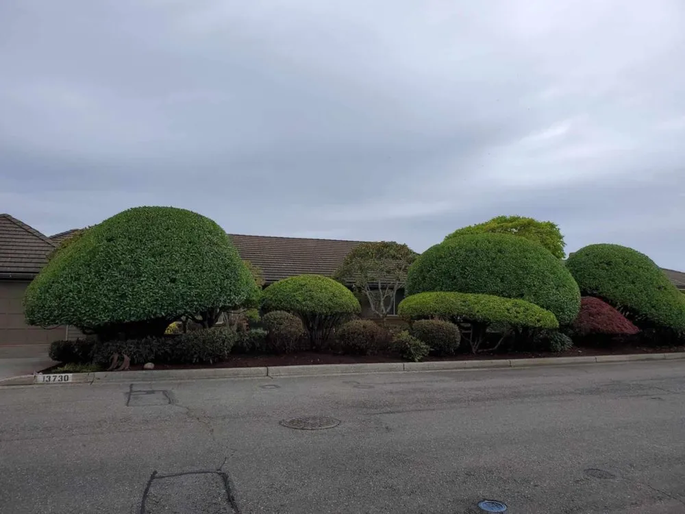 Local outdoor landscaping for beautiful yards across Spokane Valley, WA - Highland Landscaping