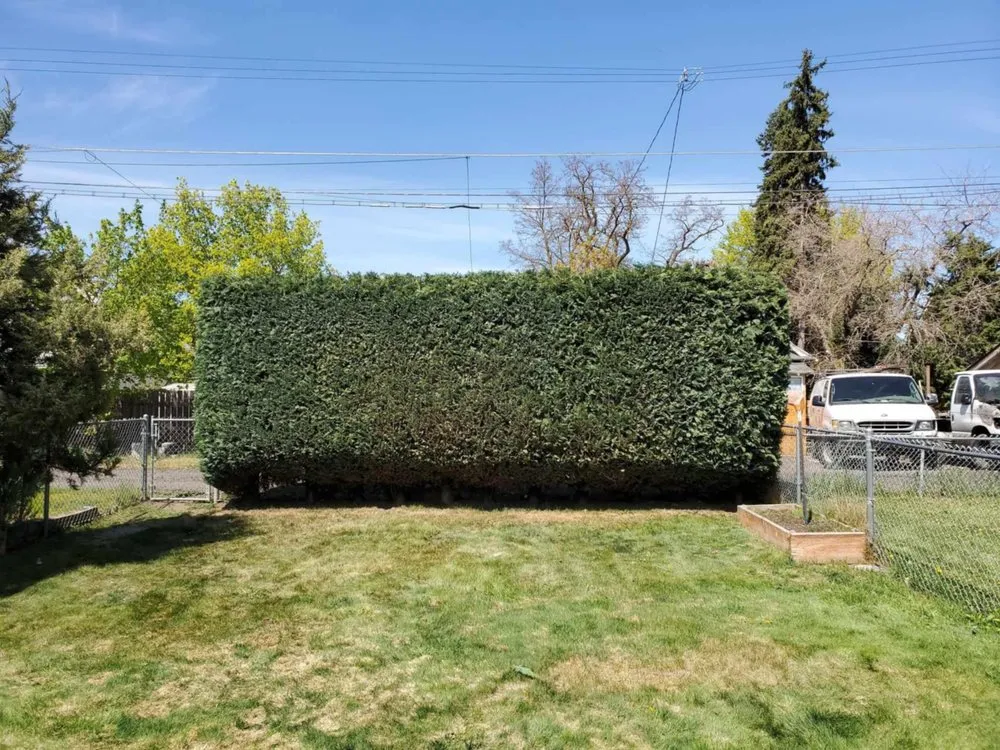 Reliable lawn mowing service in Spokane Valley, WA - Highland Landscaping