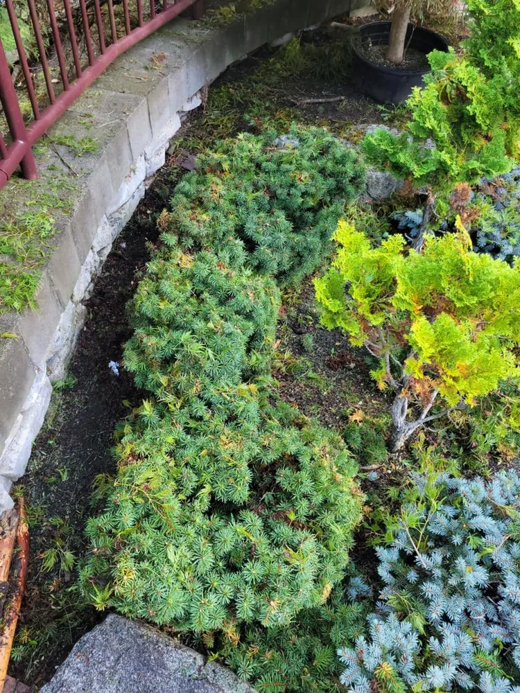 Custom lawn care service for residential properties across Spokane Valley, WA - Highland Landscaping