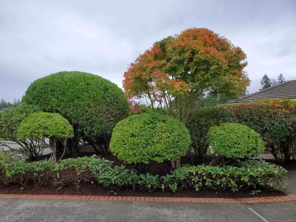 Expert lawn care service for outdoor upgrades across Spokane Valley, WA - Highland Landscaping