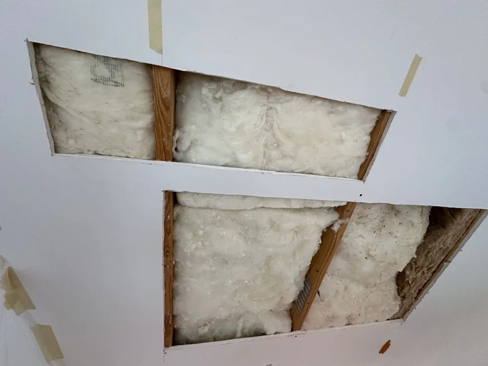 Affordable yard cleanup service experts serving Hendersonville, NC - Highland Pro Services