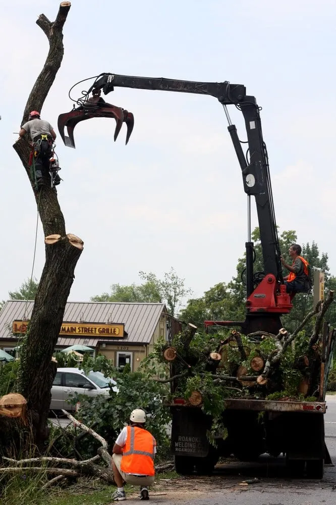 Reliable landscape design for residential properties in Blacksburg, VA by Highland Tree Care