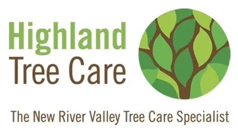 Expert yard maintenance for residential properties in Blacksburg, VA by Highland Tree Care
