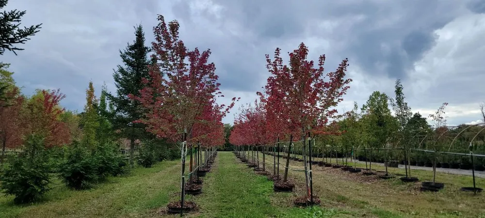 Trusted landscape design in Highland Township, MI by Highland Tree Farm