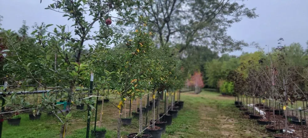 Affordable residential landscaping near you in Highland Township, MI by Highland Tree Farm