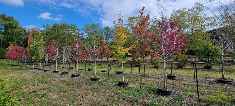 Expert lawn care service for outdoor upgrades in Highland Township, MI by Highland Tree Farm