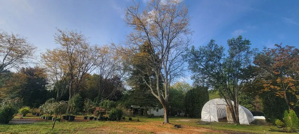 Top-rated residential landscaping for beautiful yards across Highland Township, MI - Highland Tree Farm