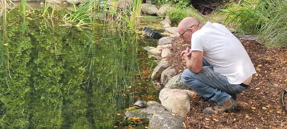 Expert yard maintenance for homes across Highland Township, MI - Highland Tree Farm