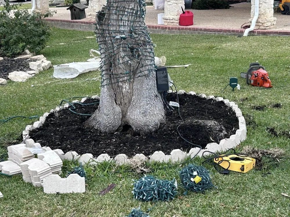 Professional garden landscaping with custom design in Spring Branch, TX by Highlander Lawns & Landscaping