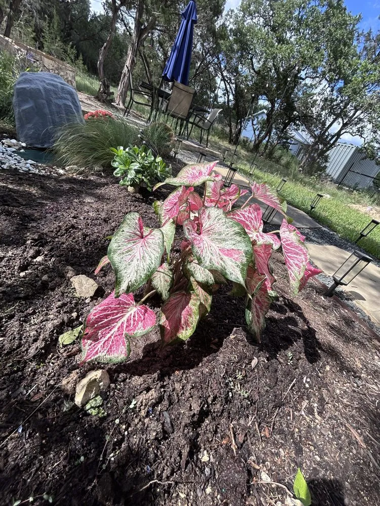 Reliable landscaping services with custom design in Spring Branch, TX by Highlander Lawns & Landscaping