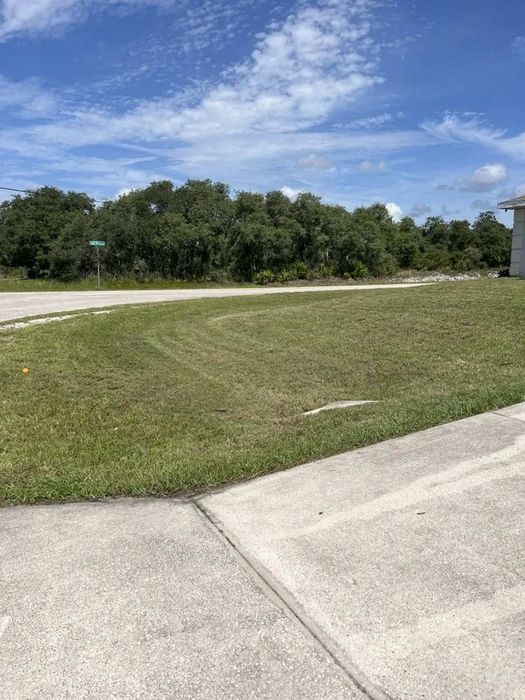 Professional outdoor landscaping in Avon Park, FL by Highlands Lawn Guy