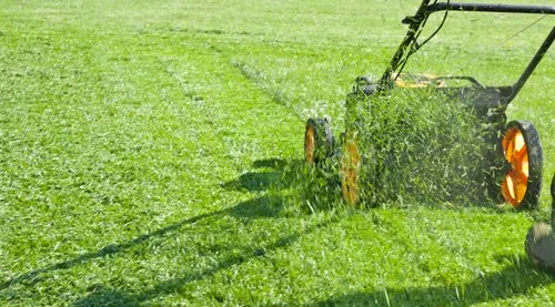 Professional lawn mowing service in Highlands Ranch, CO - Highlands Ranch Landscaping Pros