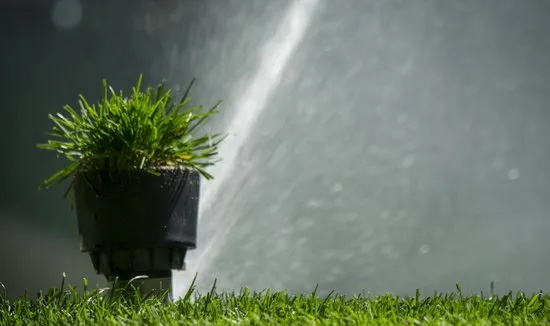 Local lawn mowing service experts serving Highlands Ranch, CO - Highlands Ranch Landscaping Pros