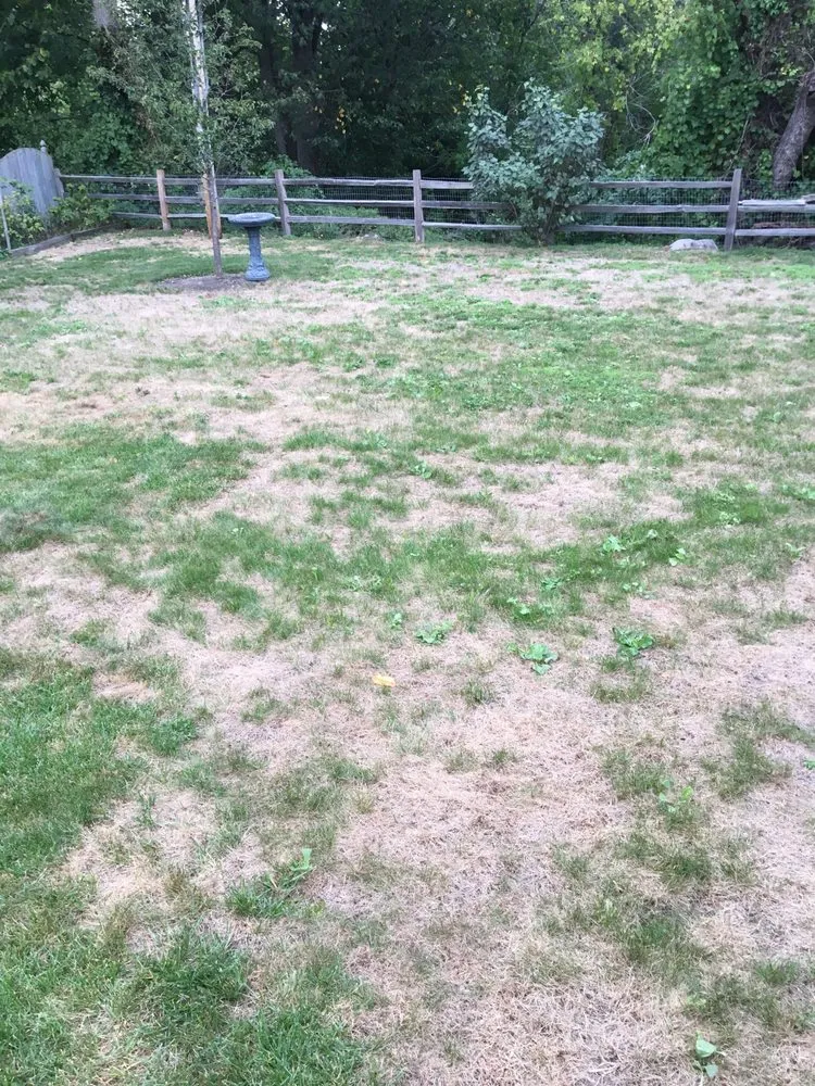 Affordable lawn care service in Rochester, NY by Highpoint Lawn Service