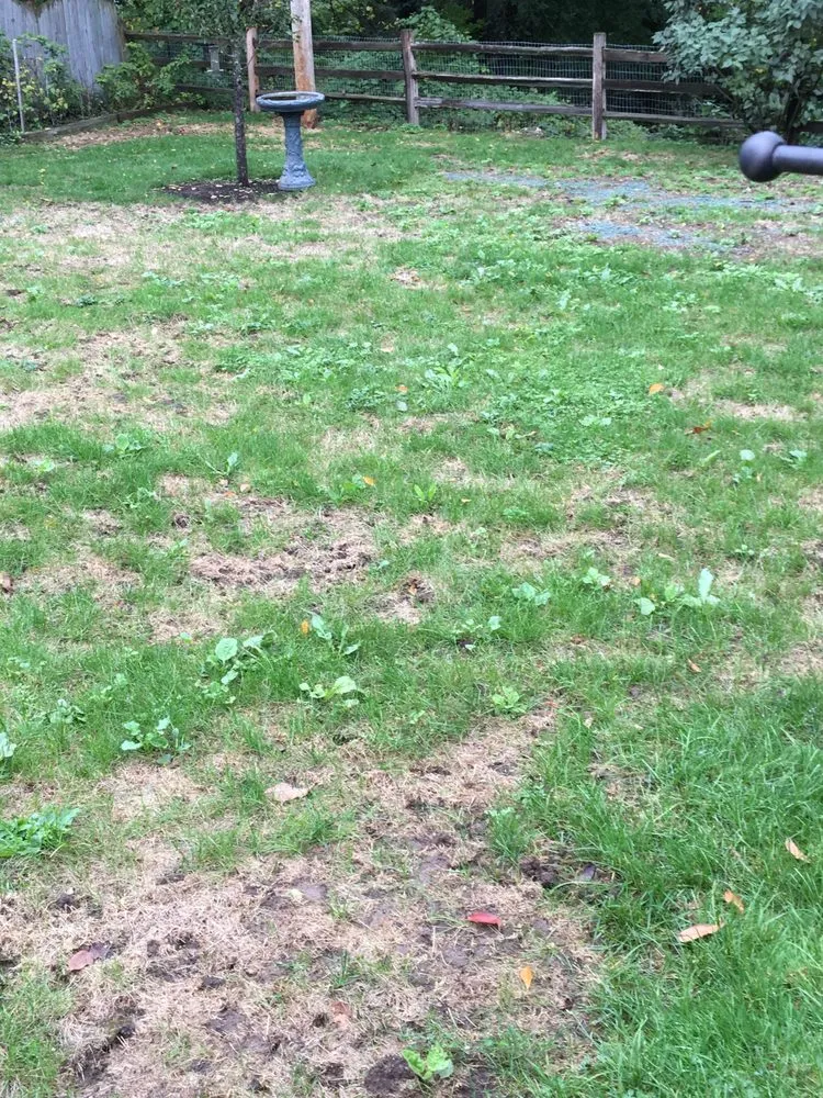 Trusted landscape design for outdoor upgrades across Rochester, NY - Highpoint Lawn Service