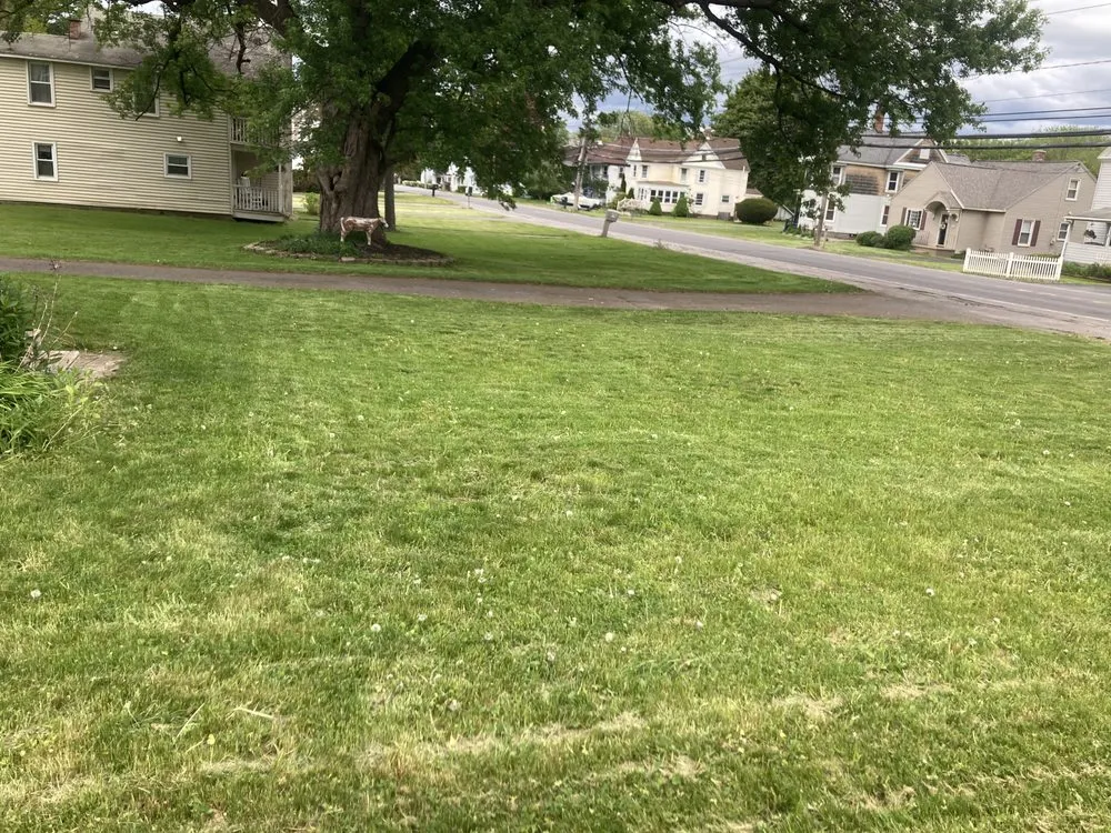 Professional lawn care service for year-round maintenance in Rome, NY by Hightech Lawncare