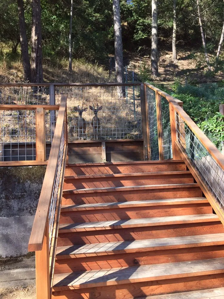 Professional lawn mowing service experts serving San Rafael, CA - Hightoned Maintenance