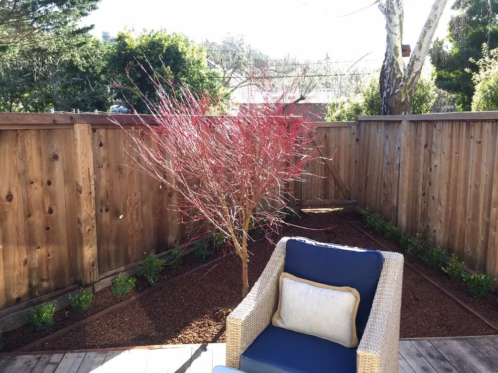 Trusted lawn mowing service for year-round maintenance across San Rafael, CA - Hightoned Maintenance