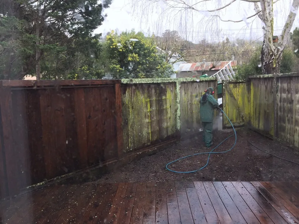 Reliable lawn care service in San Rafael, CA by Hightoned Maintenance