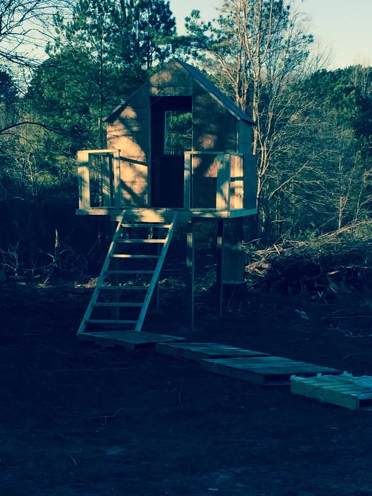 Affordable yard cleanup service in Oxford, GA by Hightower Services