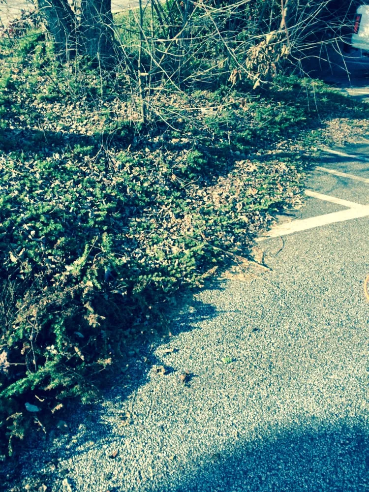 Trusted landscape installation experts serving Oxford, GA - Hightower Services