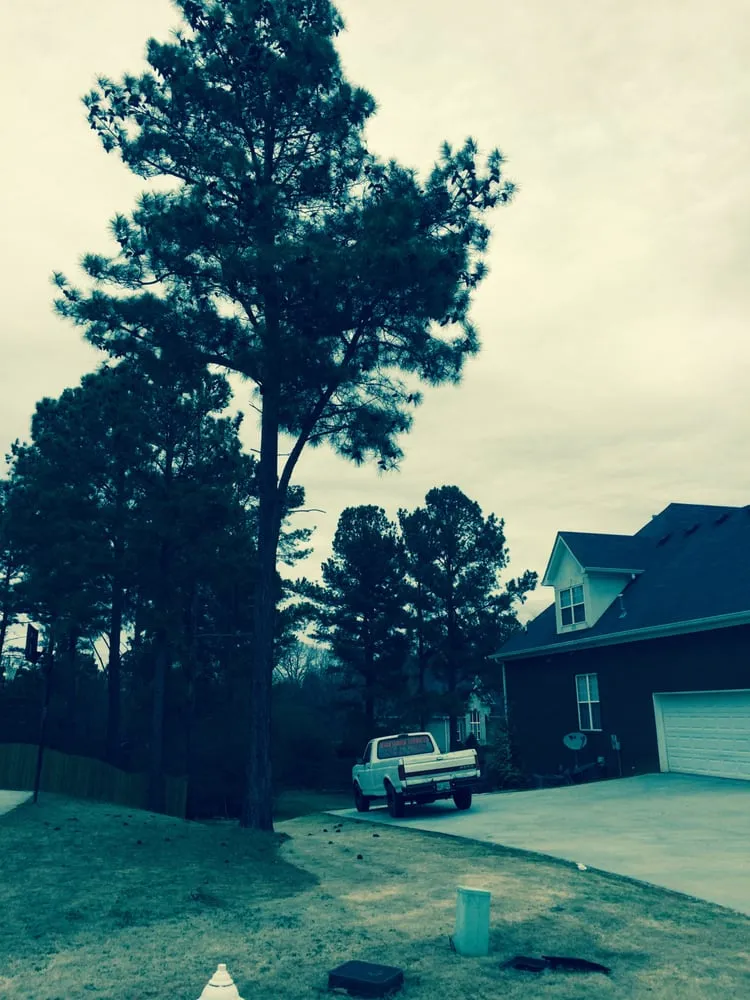 Reliable landscaping services in Oxford, GA - Hightower Services