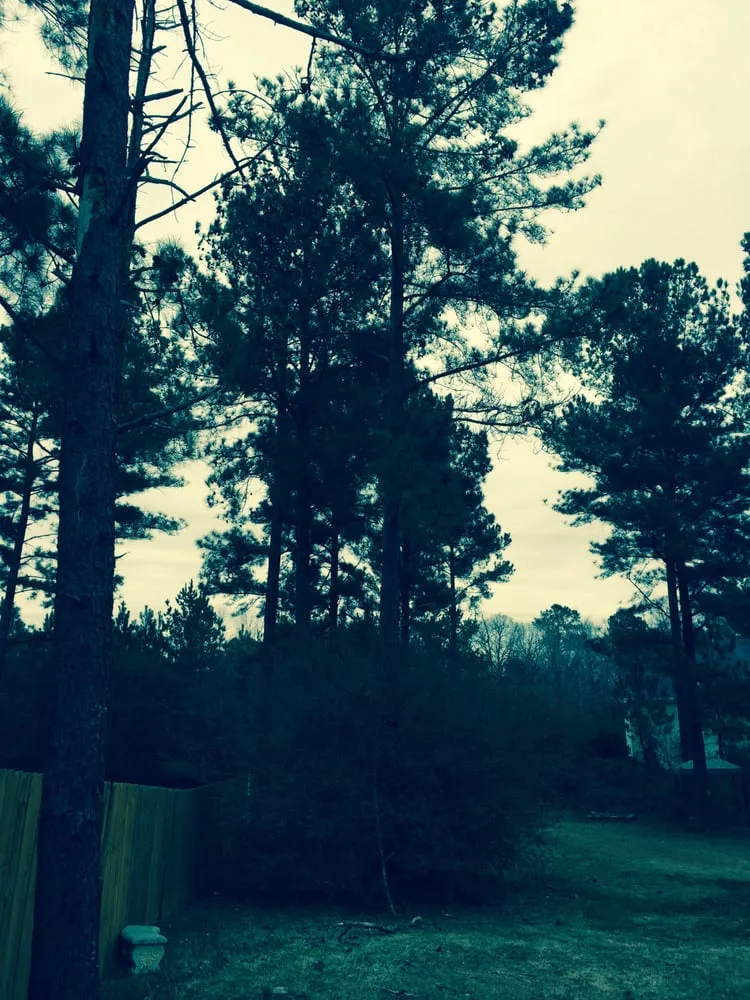 Reliable garden landscaping in Oxford, GA - Hightower Services