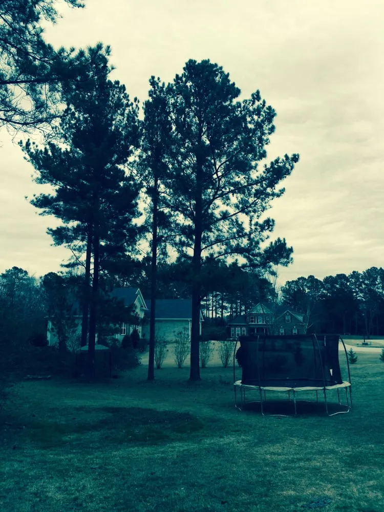 Professional residential landscaping for beautiful yards in Oxford, GA by Hightower Services