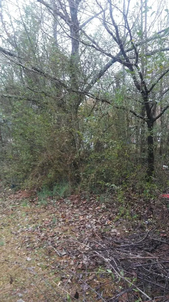 Reliable yard cleanup service for outdoor upgrades in Lithonia, GA by Hight's Helping Hands Lawn Care