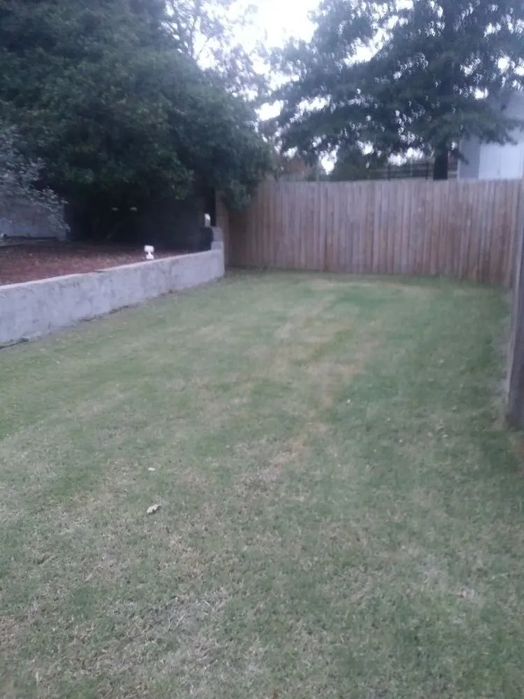 Expert lawn mowing service for year-round maintenance across Lithonia, GA - Hight's Helping Hands Lawn Care