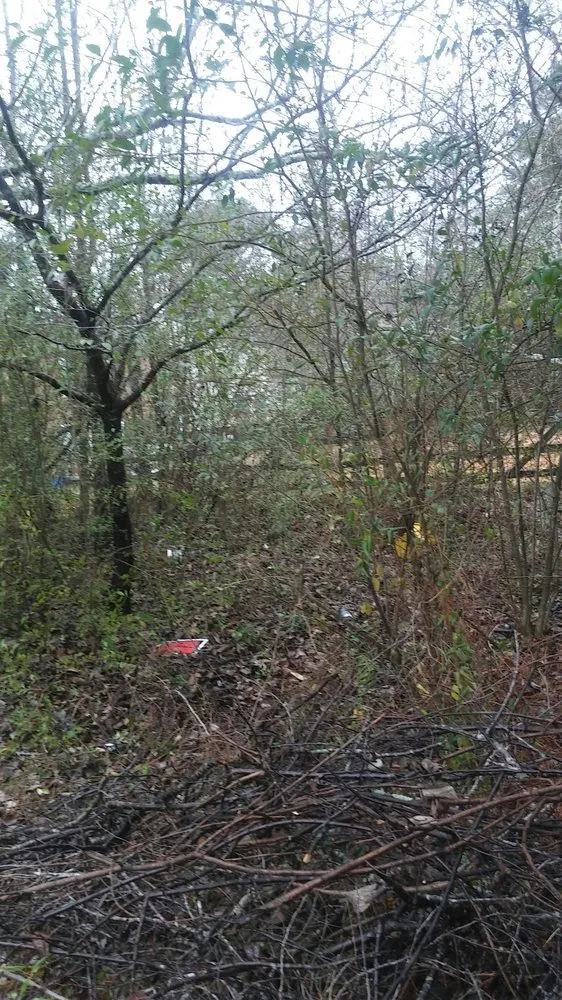 Local outdoor landscaping in Lithonia, GA by Hight's Helping Hands Lawn Care