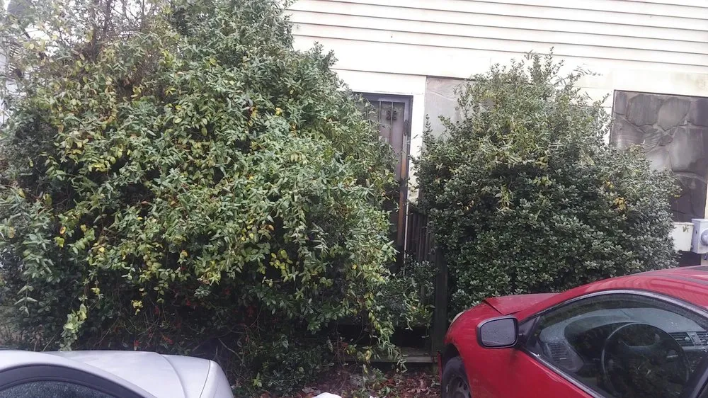 Custom lawn mowing service for residential properties across Lithonia, GA - Hight's Helping Hands Lawn Care