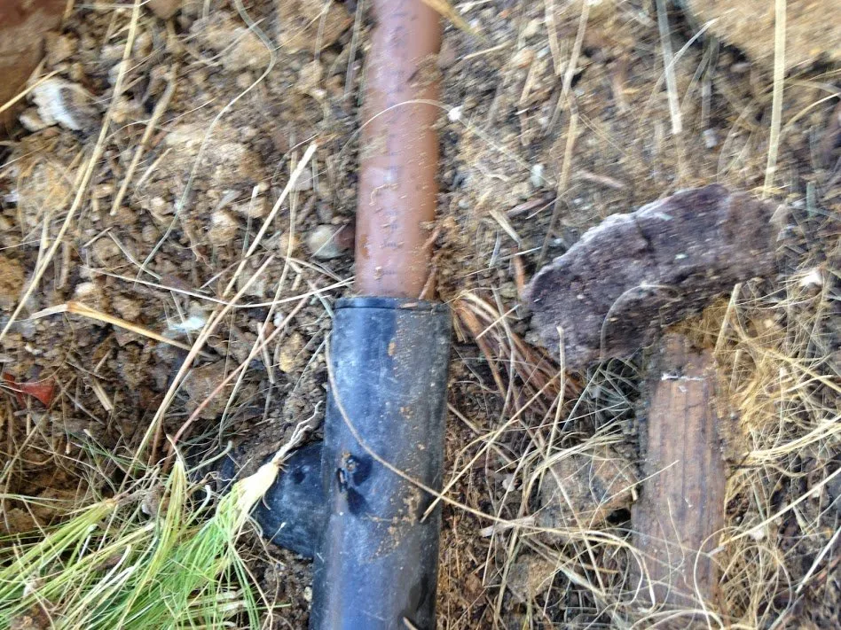 Local landscape installation for beautiful yards in Los Angeles, CA by HighView