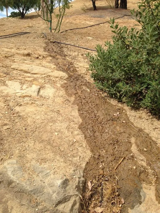 Reliable yard maintenance in Los Angeles, CA by HighView