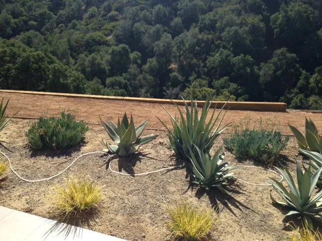 Affordable lawn care service experts serving Los Angeles, CA - HighView