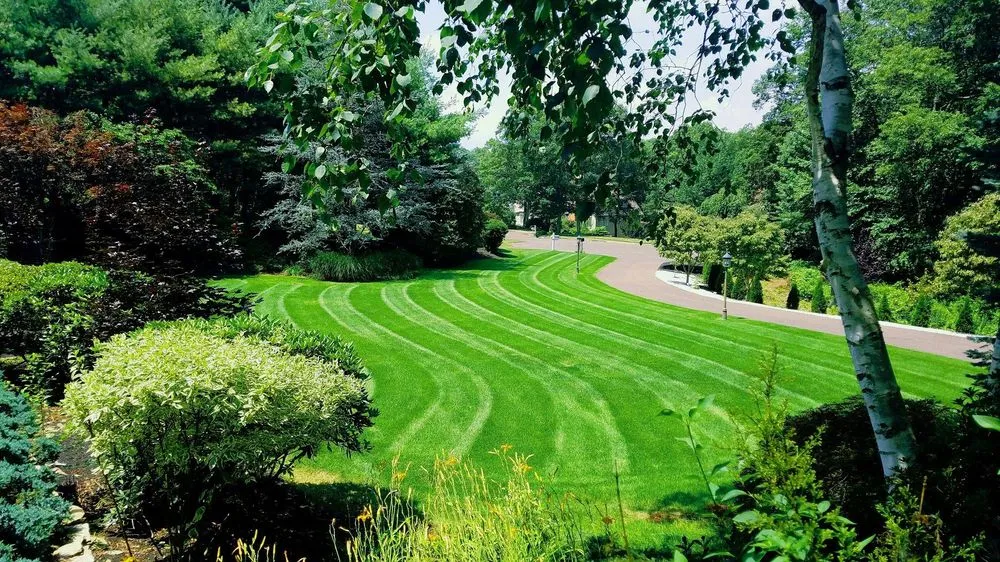Trusted landscaping services in Glastonbury, CT by Highwood Landscaping