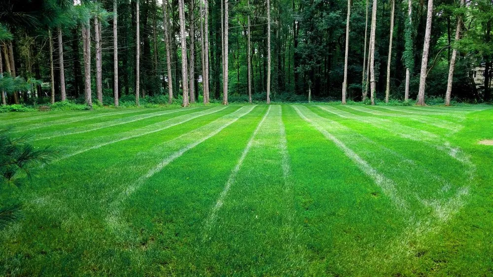 Trusted yard maintenance for beautiful yards across Glastonbury, CT - Highwood Landscaping
