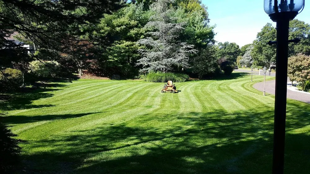 Affordable lawn care service experts serving Glastonbury, CT - Highwood Landscaping