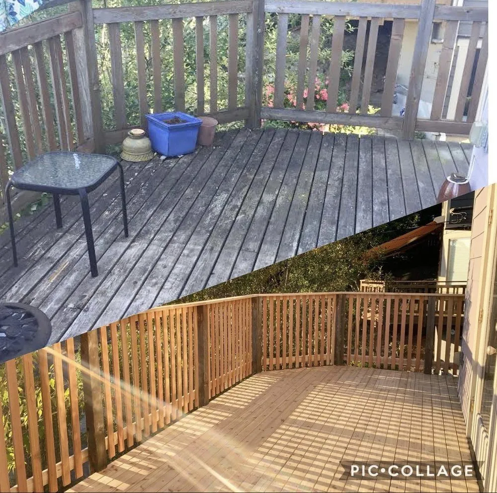 Top-rated landscape design for year-round maintenance in Daytona Beach, FL by Hignite Cut & Trim