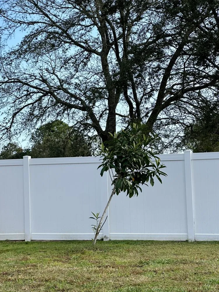 Local landscape design in Daytona Beach, FL - Hignite Cut & Trim