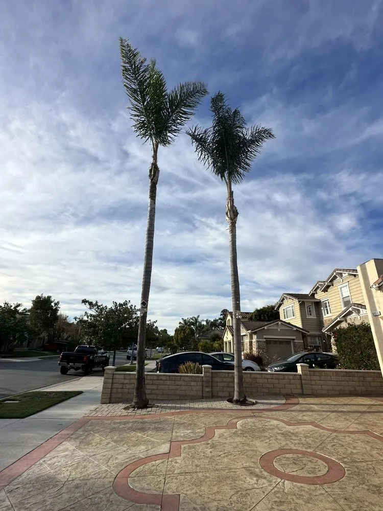 Professional landscape installation in Oxnard, CA - Higos lawncare by Saul Lopez