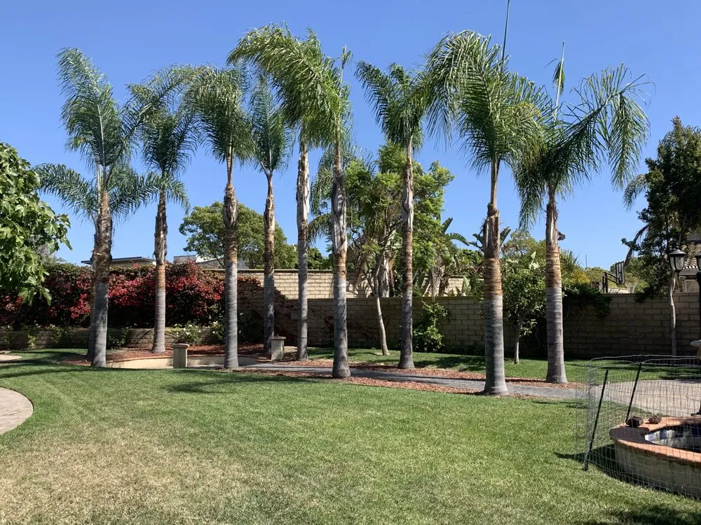 Expert landscaping services in Oxnard, CA - Higos lawncare by Saul Lopez
