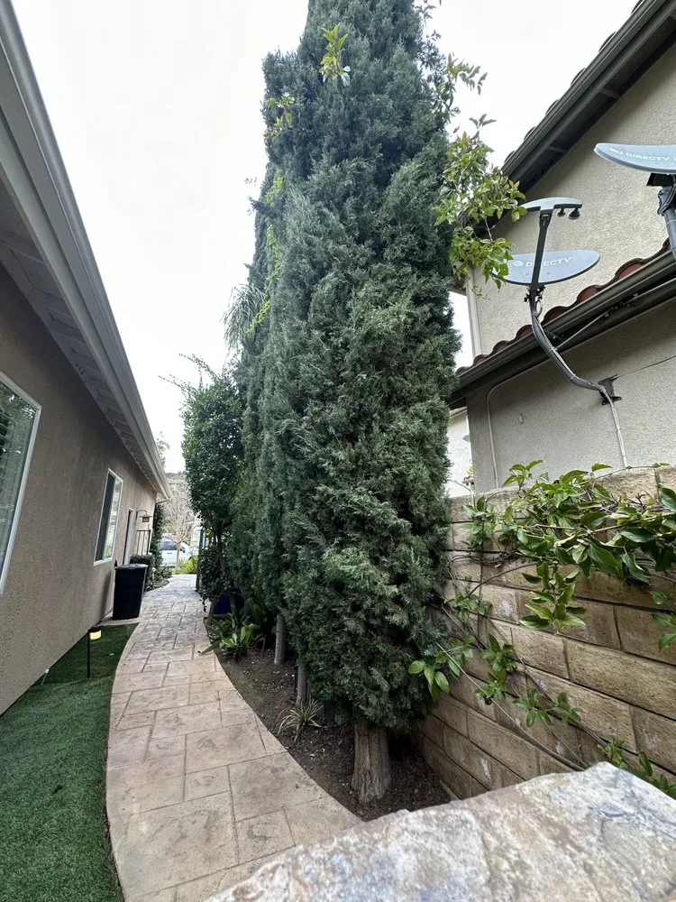 Top-rated outdoor landscaping for homes across Oxnard, CA - Higos lawncare by Saul Lopez