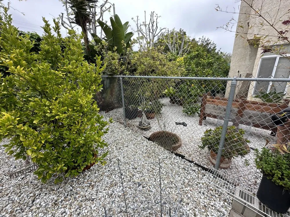 Expert landscape design with custom design across Oxnard, CA - Higos lawncare by Saul Lopez