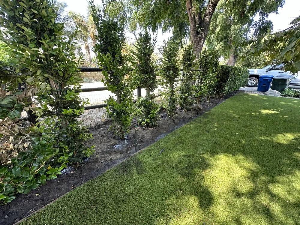 Custom outdoor landscaping for year-round maintenance across Oxnard, CA - Higos lawncare by Saul Lopez